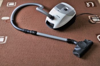 Why You Need  Professional Carpet Cleaning Services