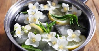 wonderful scent
