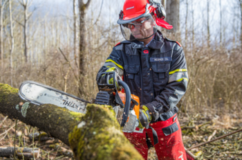 Chainsaw Guide