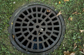 Tips to Improve the Drainage System in Your Backyard